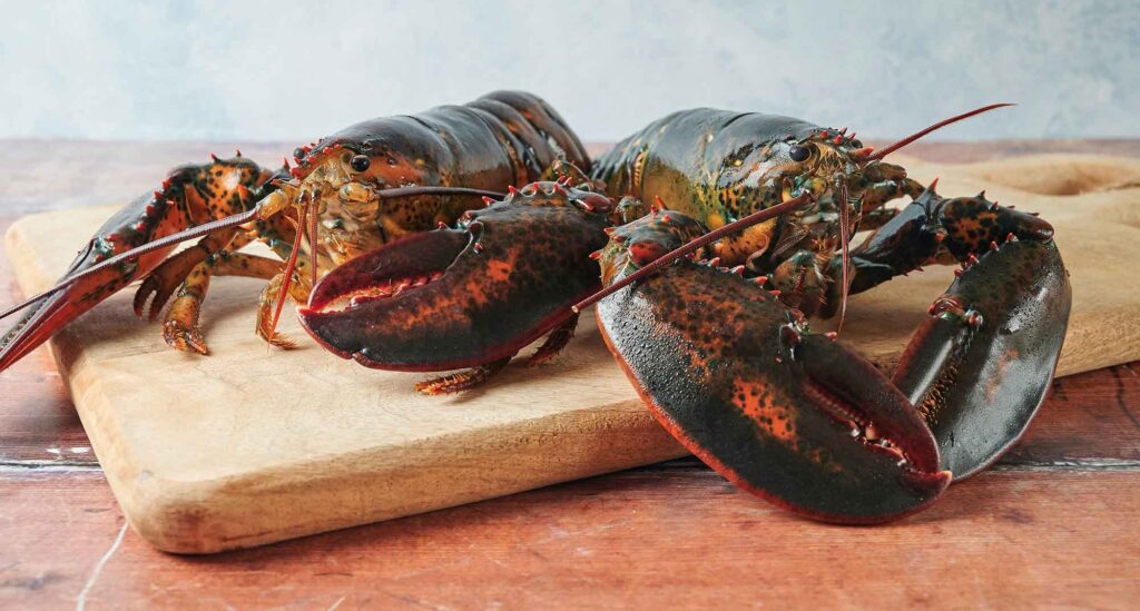 Lobster on a wooden cutting board.