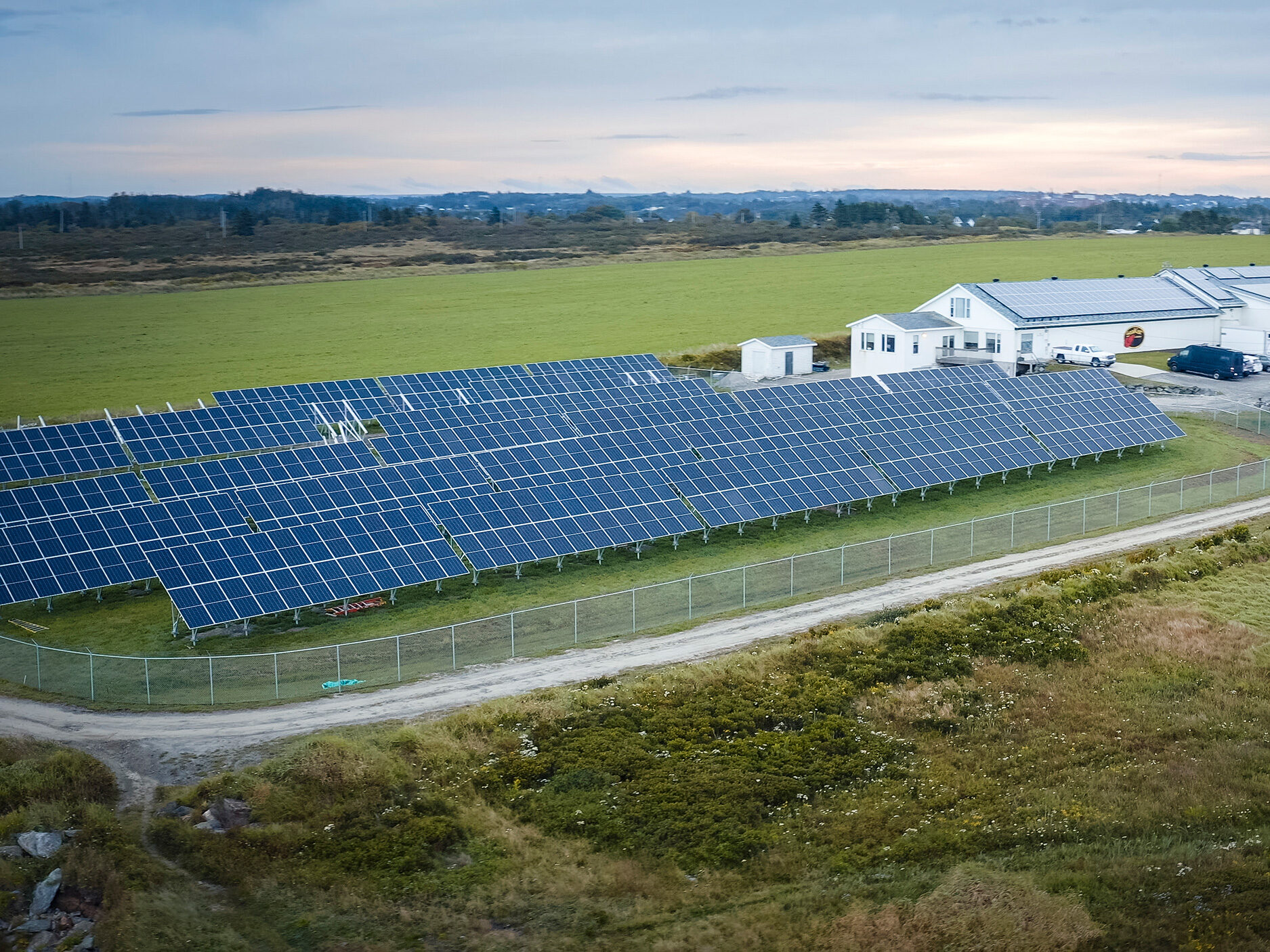 A field of solar panels seen from above.