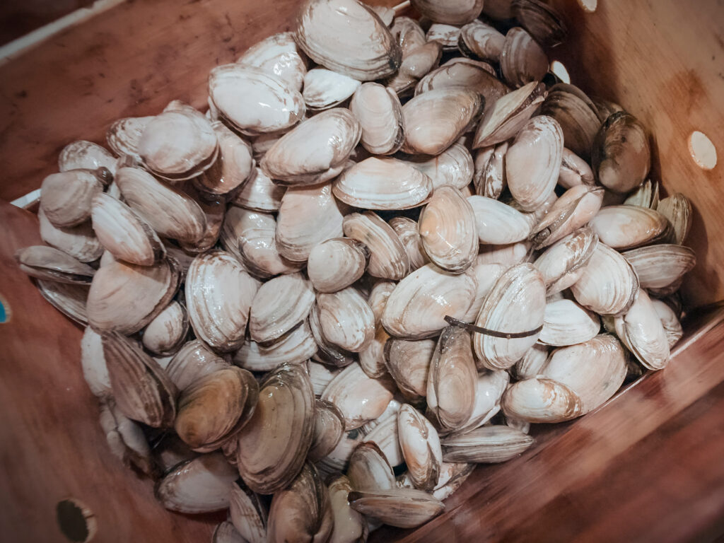 Clams in a wooden crate.